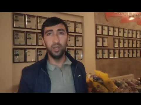 Չարենցավանում մեծ քանակությամբ սնունդ և դեղորայք է հավաքվել զինվորների համար