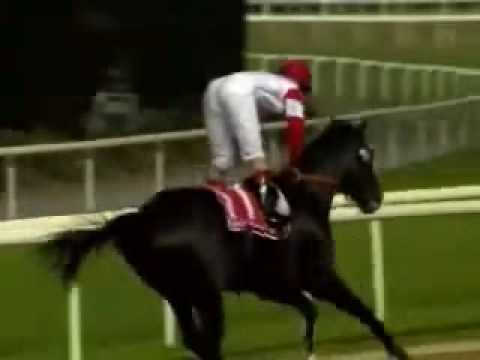 2005 Dubai World Cup - Roses In May