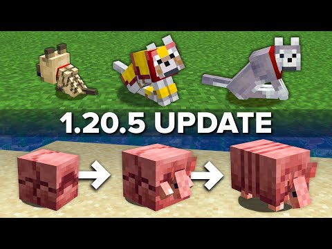 Minecraft 1.20.5 Update Explained in 5 Minutes