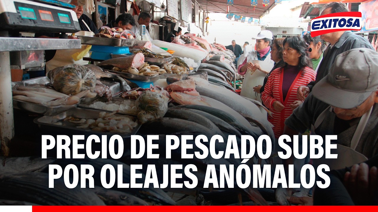 🔴🔵 Precio de pescado sube por oleajes anómalos y ventas bajas en el terminal pesquero