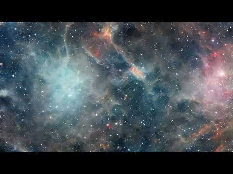 All the Fermentations - Sabbāsava Sutta  (MN 2)