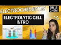 Electrolytic Cell Electrochemistry How Electrolysis Works Grade 12 Chemistry