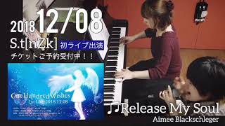 「Release My Soul」SawanoHiroyuki[nZk]:Aimee Blackschleger(S.t[nZk]LiveCover)