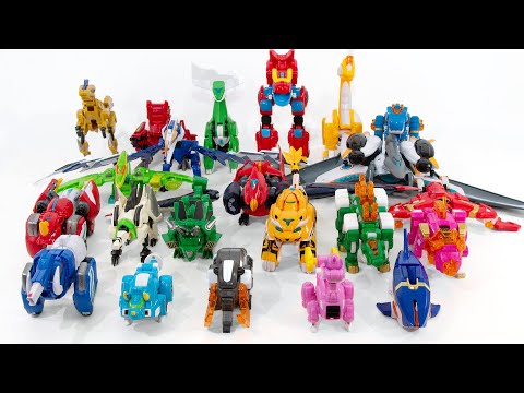 SuperDino7 GoGoDino GoGoKing DragonForce King Of Beast ShenShouJinGang5 GodBeastKing Transformation