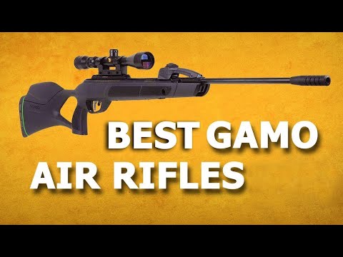 Best Gamo Air Rifle 2021 - 5 Best Pellet Rifle for Hunting
