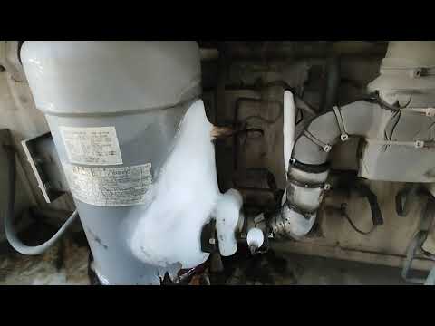 ICE BUILD UP ON A SCROLL COMPRESSOR - DAIKIN REEFER CONTAINER