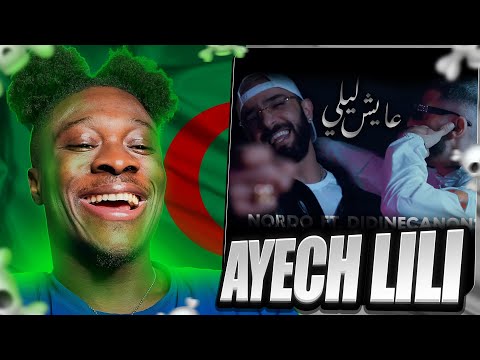 Nordo ft. Didine Canon 16 - 3ayech Lili (Official Music Video) 🇩🇿🔥REACTION