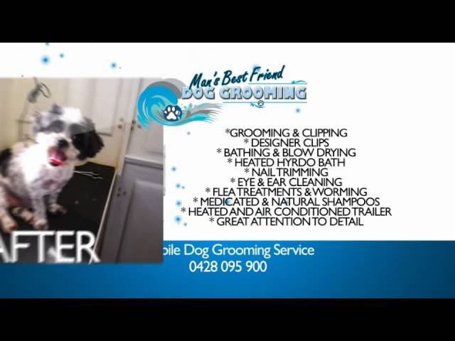 Man's Best Friend Dog Grooming - Strathfieldsaye, VIC