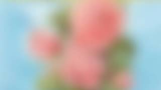 Sunshine - Charlie Heat ft. Ant Beale (Lyrics)