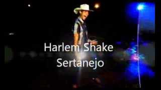 preview picture of video 'Harlem Shake Sertanejo'