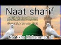 Noor Ki Vadi Mein vah Kabe ka Kaba Dekhkar naat kha Mohammad ali