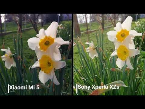 Xiaomi Mi 5 vs. Sony Xperia XZs camera comparison