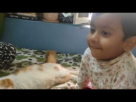 Playing with cat #25month #catwithbaby