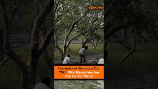 International Mangrove Day 2026: Why Mangroves Are Vital for Our Planet