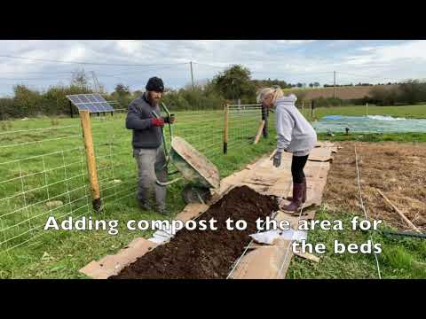 No dig gardening beds: Market Garden & Garlic Planting