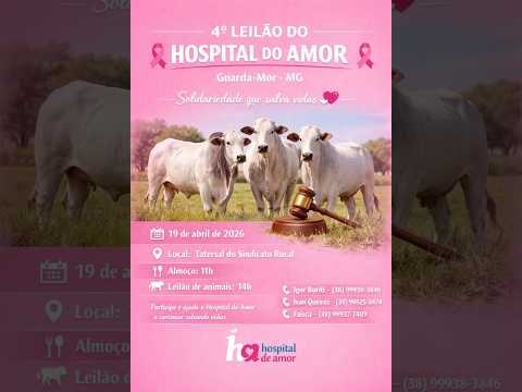 4º LEILAO DO HOSPITAL DO AMOR GUARDA-MOR MG