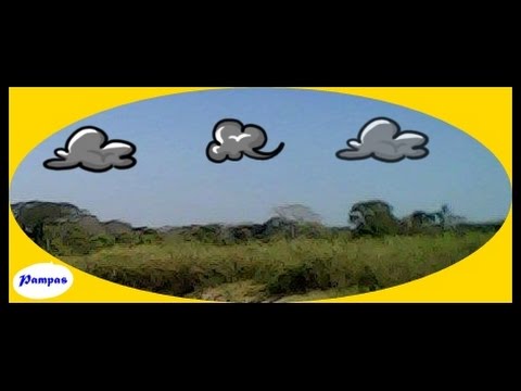 Ha mundo Bruzual de Apure -  G  Sanchez