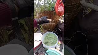 Download lagu This tea picker only earns Rp 3,500 a day #shorts #shortvideo #sad mp3