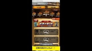 【FFRK】試練の書XVIII～XXIを回したよ！