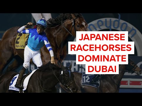 TOP 10 BEST JAPANESE RACEHORSE WINS: ジェンティルドンナ | ハーツクライ