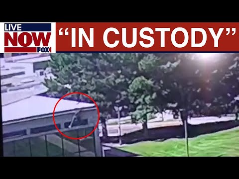 Video | Pres. Trump: Charlie Kirk shooter now in custody  | LiveNOW from FOX