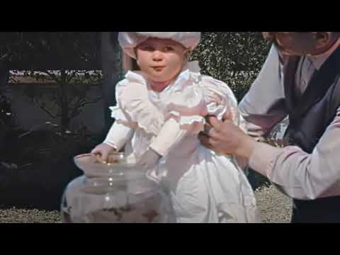 Hace calor - Caballo regalao x Ruinseñor