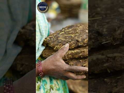 Cow dung Export from India #sagaragravat #businessideas