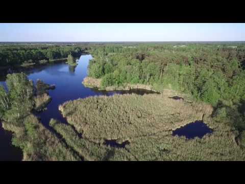 Jezioro Rejowiec (tzw. Orlicz) gm. Garbów z lotu ptaka