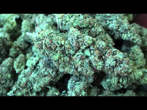 Morten feat. Lakmanm & MRJAH - FWL