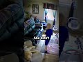 Dog Saves A Boy From A Furious Cat Shorts Shortsviral Dogs