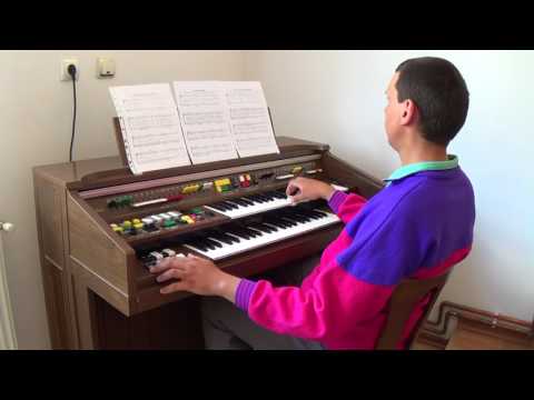 Strait And Narrow Is The Gateway - Organist Bujor Florin Lucian playing on the Yamaha Electone C-55N