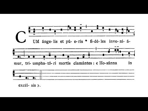 Dominica II in Passionis seu in Palmis (Palm Sunday) - Antiphona (Cum angelis et pueris)