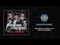 Los Traileros del Norte - Como Olvidarte ( Audio Oficial ) - Serca Music Oficial Los Traileros del Norte - Como Olvidarte ( Audio Oficial )