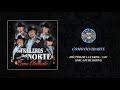 Los Traileros del Norte - Como Olvidarte ( Audio Oficial )