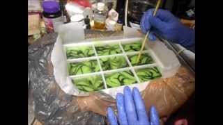 Making my Mountain Dew Cold Process Soap