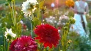 Everybody Get Together