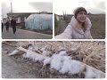 Winter Walk And Korean Teenage Boys Nicholalala