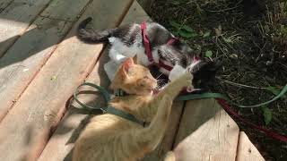 One minute special: We need to get out more!