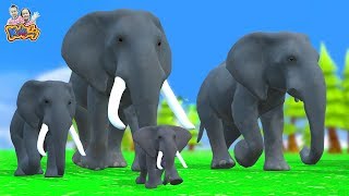 เพลงช้าง - เพลงเด็กพี่นุ่น น้องภูมิ By KidsMeSong