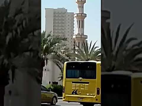 Makkha#Aziza#city #viralvideo #shortvideo