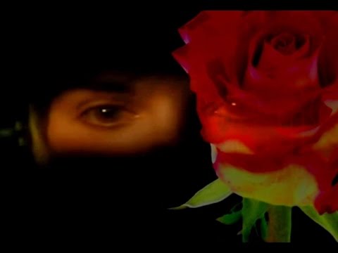 Enya - China Roses (Music Video)