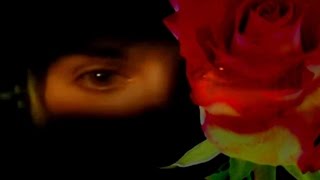 Enya - China Roses (Music Video)