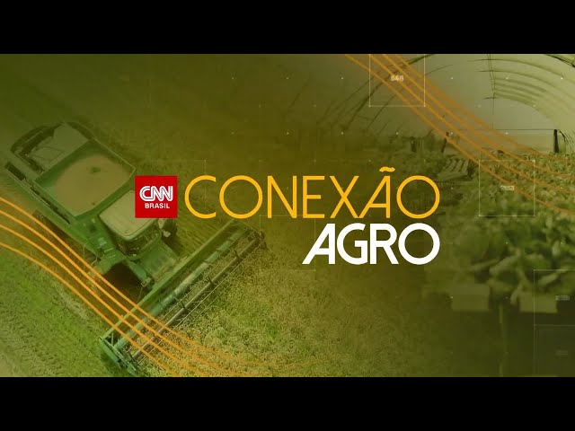 Agronegócio será menos afetado com tarifaço dos EUA | CNN NOVO DIA
