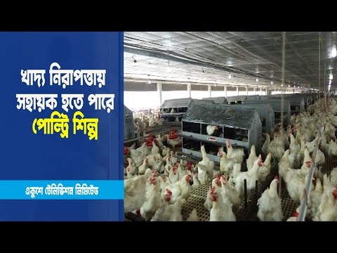 খাদ্য নিরাপত্তায় বড় সহায়ক হতে পারে দেশের পোল্ট্রি শিল্প