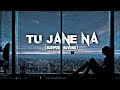 Tu Jane Na ️ Slowed Reverb Ultra Lofi Music