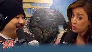 Bobby Lee and Eleanor Kerrigan Break Down Their 20 Year War