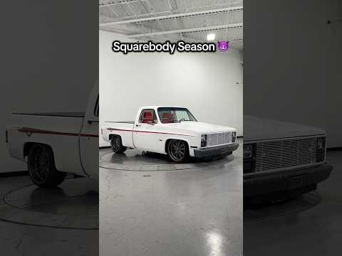 1984 Chevrolet C10 (CC-2106879) for sale in Marietta, Georgia