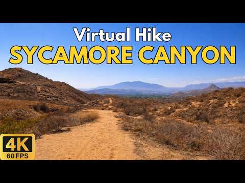 4K Virtual Treadmill Hike – Sycamore Canyon Dry Season Trail | 50-Min POV Walk