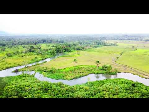 Rioja,  Río Negro: Rioja, Alto Mayo, Región San Martín I Edson Segama VIAJES