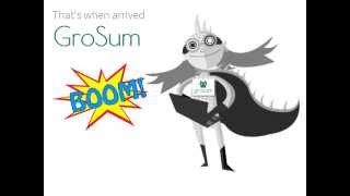 GroSum YouTube Video